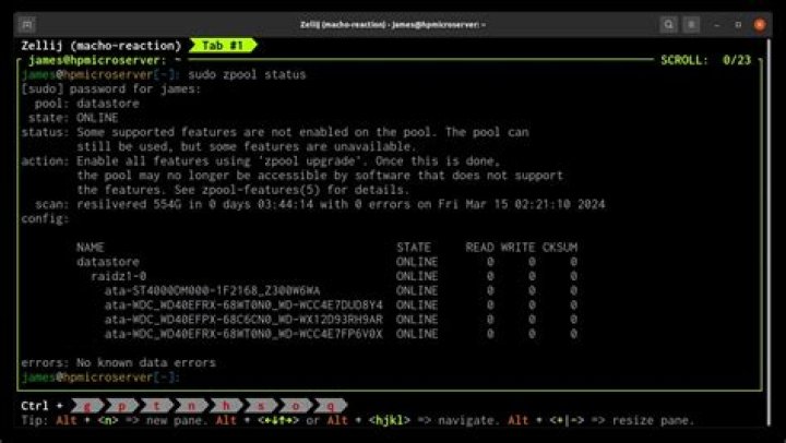 ZFS resilvering a device without errors